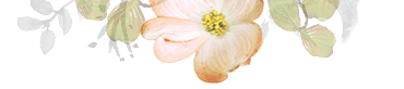 flowers_top